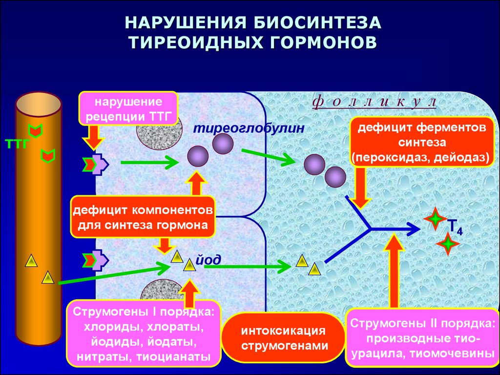 Синтез гормонов происходит. Биосинтез тиреоидных гормонов схема. Т4 гормон Синтез. Схема Биосинтез тиреоидныхгормонов. Этапы образования и секреции тиреоидных гормонов.