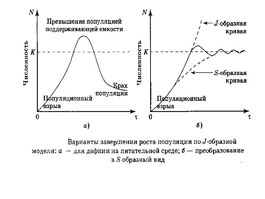 Рост популяции. Логистический рост популяции. S образная кривая роста популяции. Логистическая модель роста популяции. Экспоненциальные и логистические кривые роста популяции.