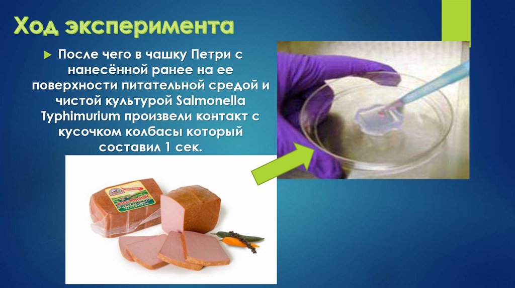 Ход эксперимента