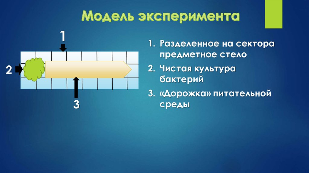 Модель эксперимента