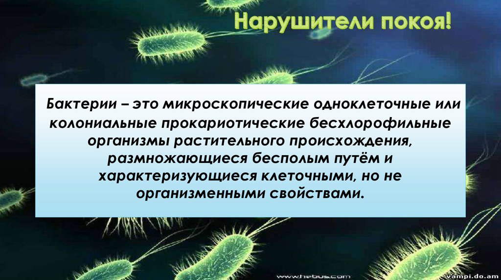 Организменные бактерии. Одноклеточные прокариотические организмы. Прокореотические одноклеточные. Строение и движение бактерий. Бактерии — микроскопические одноклеточные организмы,.