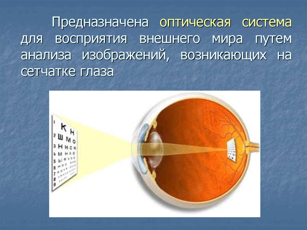 Если глаз человека строит изображение далеких предметов за сетчаткой то