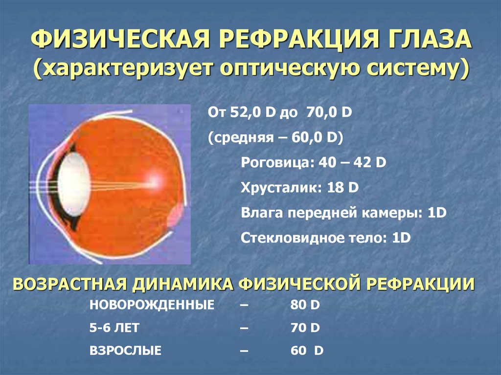 Физиологическая оптика. Пределы изменения физической рефракции глаза. Физическая рефракция. Динамическая рефракция глаза. Рефракция роговицы.