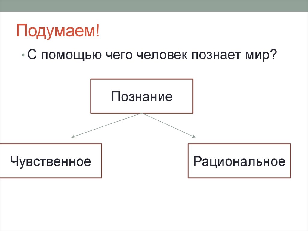 С помощью чувственного познания человек постигает