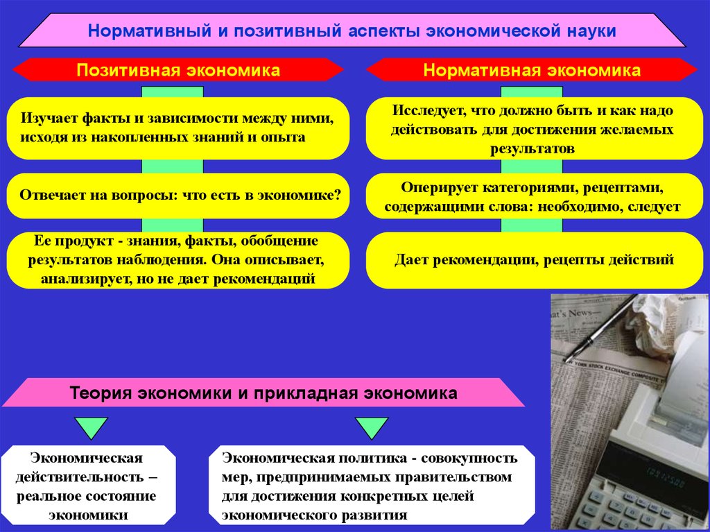 Система экономической науки. Нормативный и позитивный аспекты экономической науки. Позитивная и нормативная экономическая наука. Позитивная и нормативная экономика. Позитивная экономика и нормативная экономика.