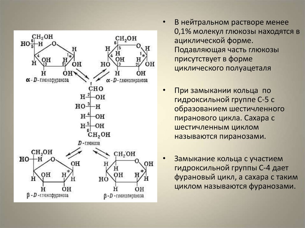 Какая молекула глюкозы. Ацикличная форма Глюкозы. Глюкоза циклическая и Ациклическая форма. Циклическая формула и Ациклическая форма Глюкозы. Циклическая форма Глюкозы это полуацеталь.