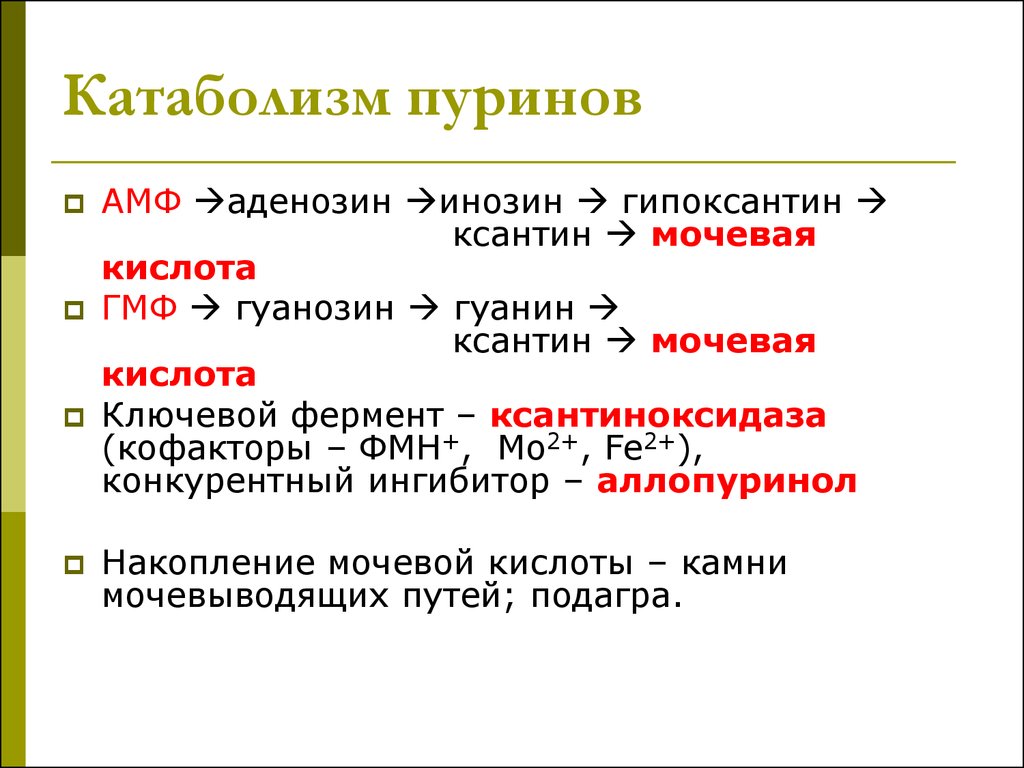 Ферменты катаболизма. Катаболизм пуриновых и пиримидиновых оснований биохимия. Катаболизм пуриновых азотистых оснований. Катаболизм пуринов биохимия. Катаболизм пуриновых нуклеотидов. Синтез мочевой кислоты..