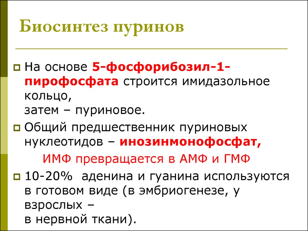 5 основ. 5-Фосфорибозил-1-пирофосфата. Предшественники пуринов. 5-Фосфорибозил-1-пирофосфат необходим для биосинтеза. Нуклеарная кислоты функции.