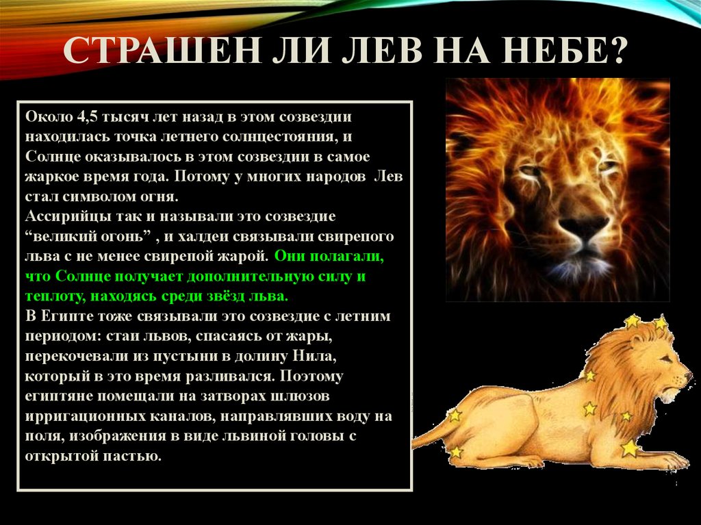 В каких произведениях есть лев. Лев для презентации. Проект про Льва. Лев слайд. Презентация на тему львы.