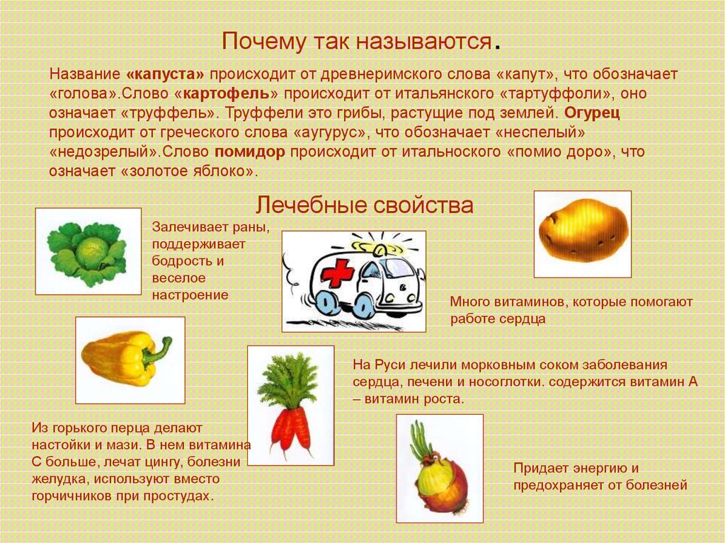 Обозначение слова овощ. Презентация на тему овощи. Почему так. Овощи для презентации. Презентация овощи для дошкольников.