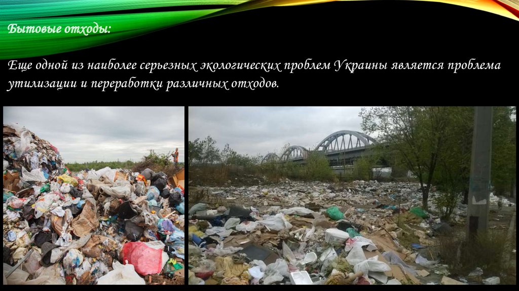 Реферат: Экологические проблемы Украины