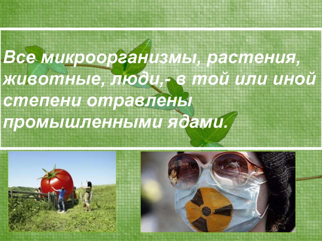 Все микроорганизмы, растения, животные, люди,- в той или иной степени отравлены промышленными ядами.