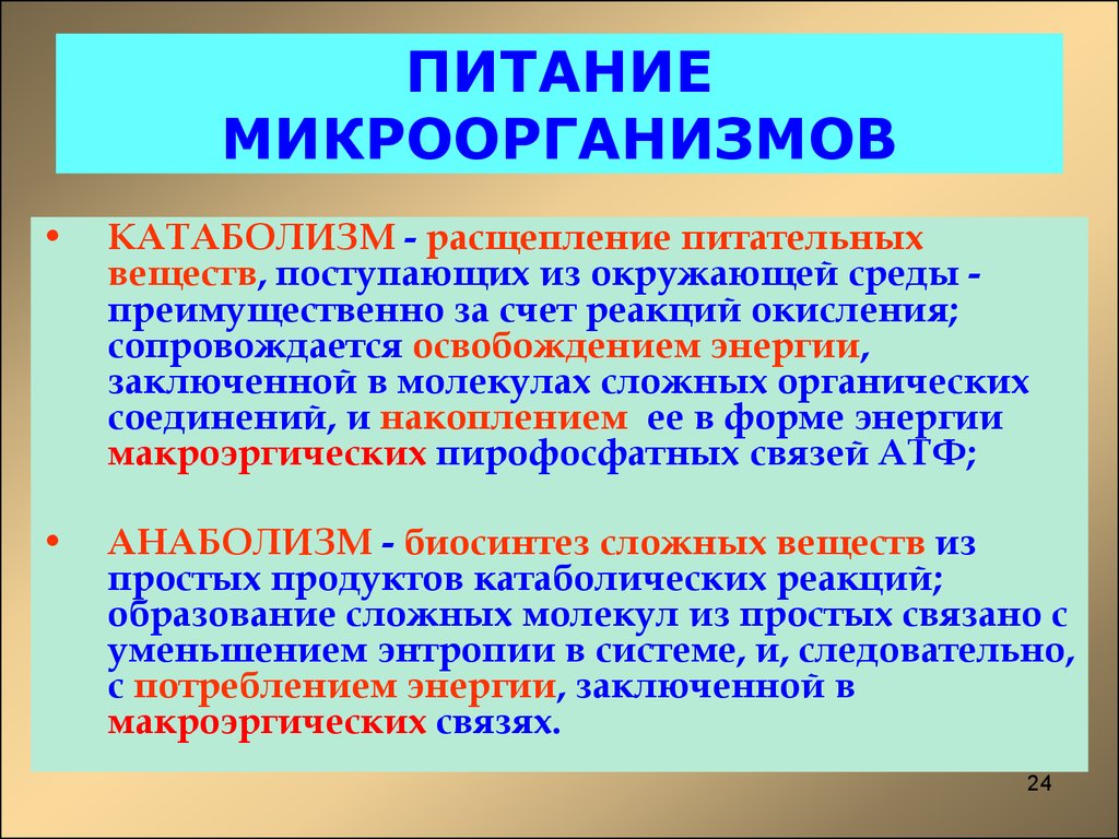 Какие различают бактерии по способу питания кратко. Питание микроорганизмов. Питание микроорганизмов микробиология. Понятие питание микробов. Питание микроорганизмов его способы.