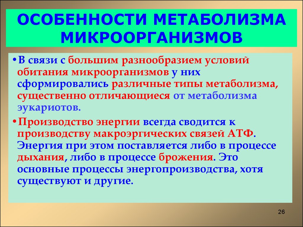 Типы метаболизма