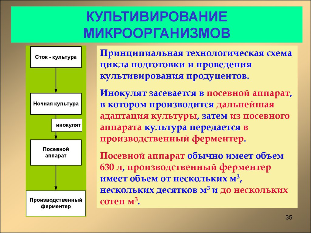 Культивирования микроорганизмов презентация