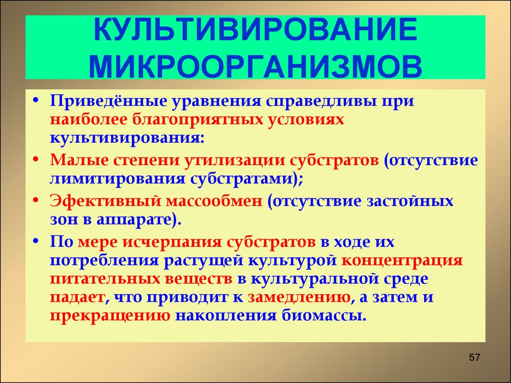 Культивирование. Культивирование микроорганизмов. Субкультииование микроорганизмов. Культурирование бактерий. Выращивание культур микроорганизмов.