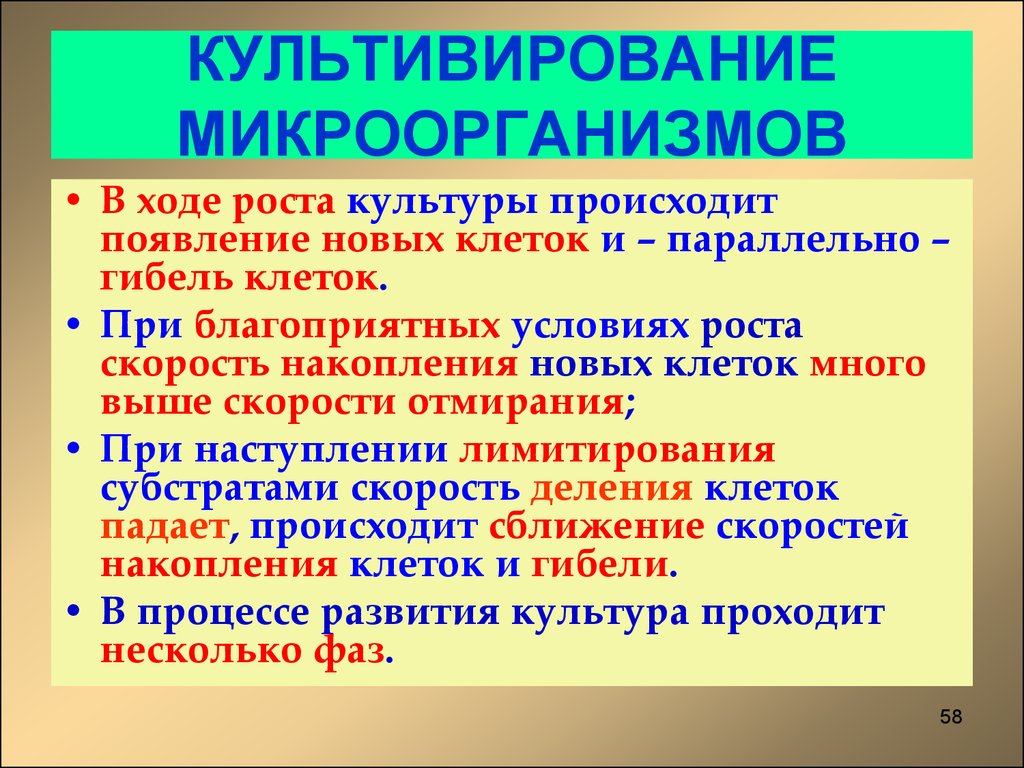 Культивирования микроорганизмов презентация