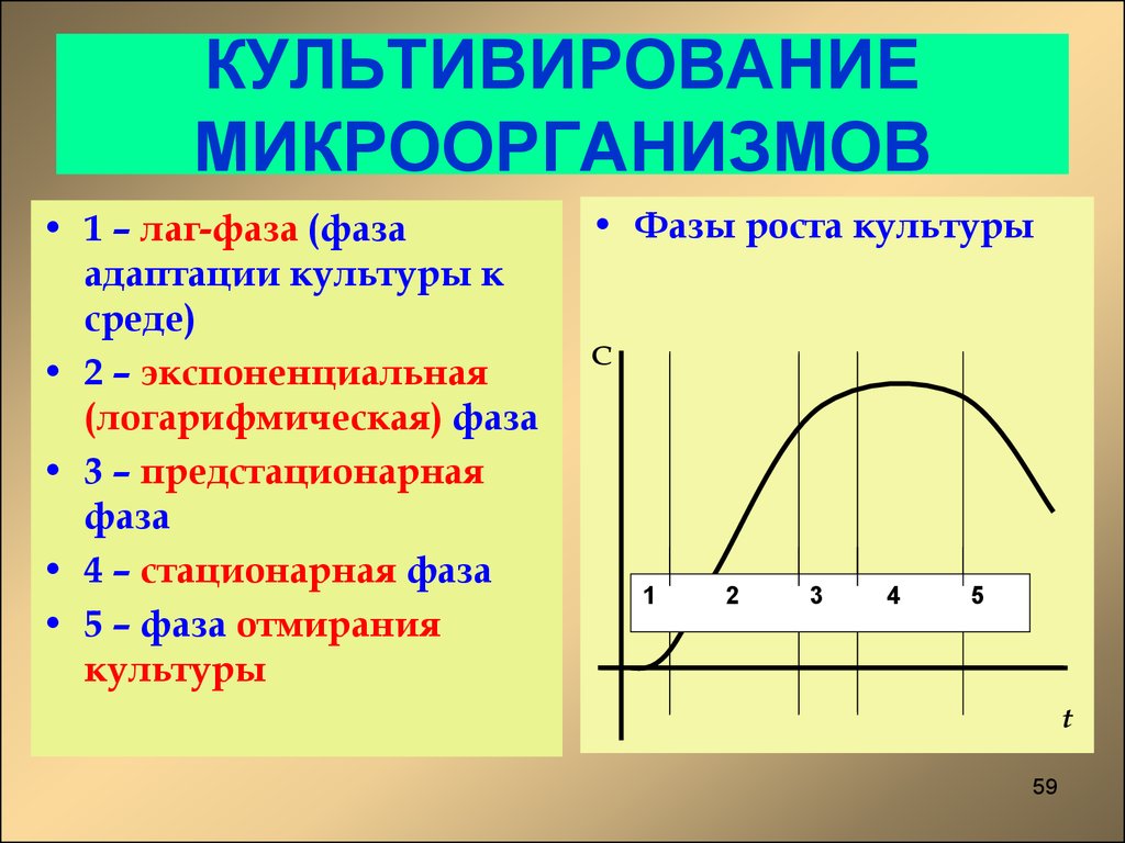 Стационарная кривая