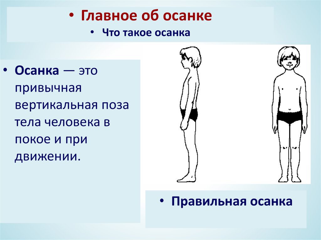 Привычное вертикальное положение. Осанка человека в покое. Правильная осанка стоя рисунок. Исправление осанки у детей 10 лет. Осанка вырабатывается с детства.