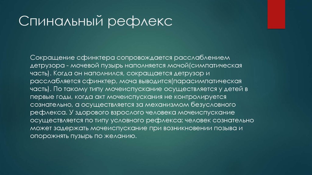 Спинальный рефлекс