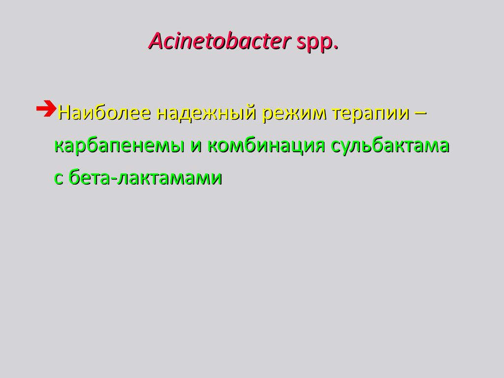 Acinetobacter spp.