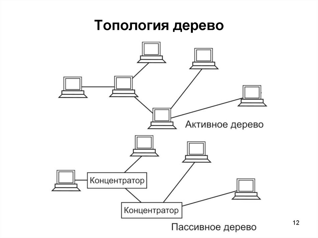 Пассивная база. Топология локальных сетей дерево. Дерево (топология компьютерной сети) топологии компьютерных сетей. Схема локальной сети древовидная топология. Схема топологии сети типа "активное дерево".