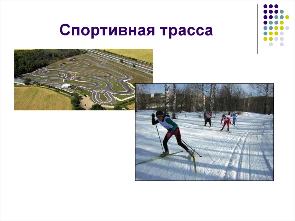 Спортивная трасса. Спортивная трасса 8 букв. Презентация я директор спортивного сооружения.