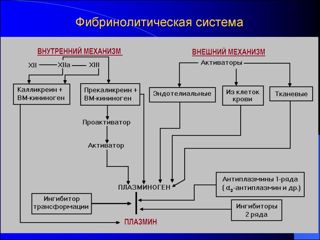 Схема фибринолиза физиология