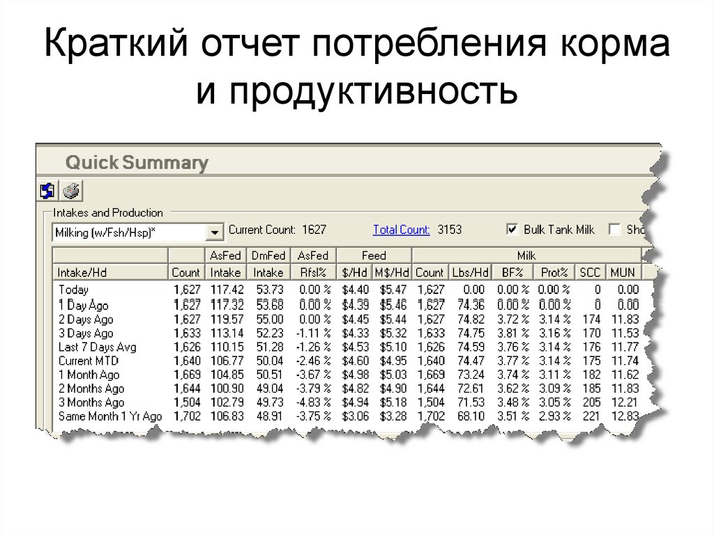 Краткий отчет о деятельности