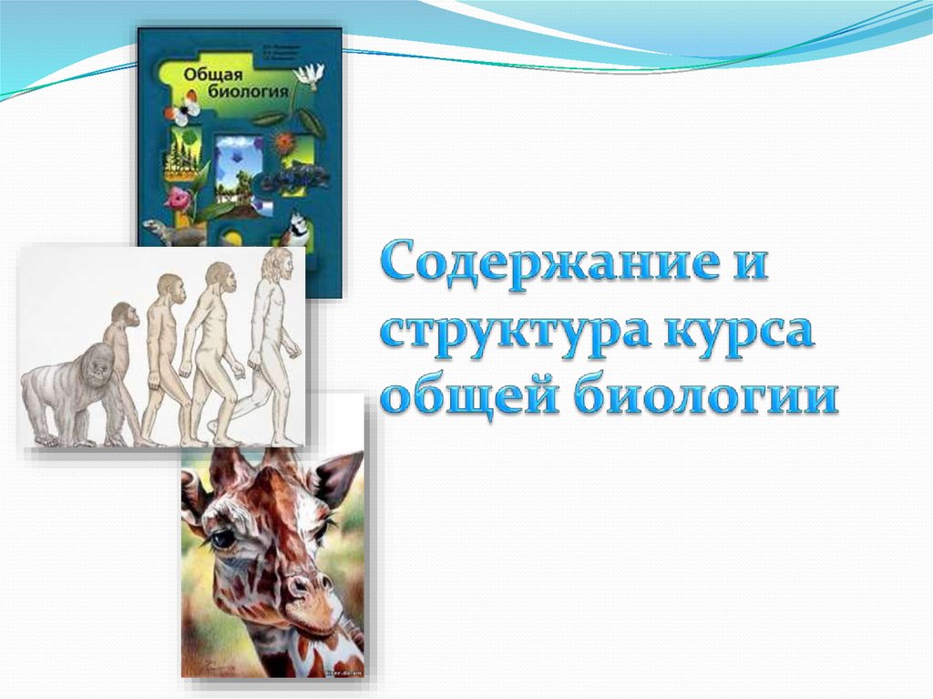 Основная биология. Содержание и структура общей биологии. Содержание и структура курса общей биологии. Общая биология содержание. Содержание и структура курса общей биологии 10 класс.