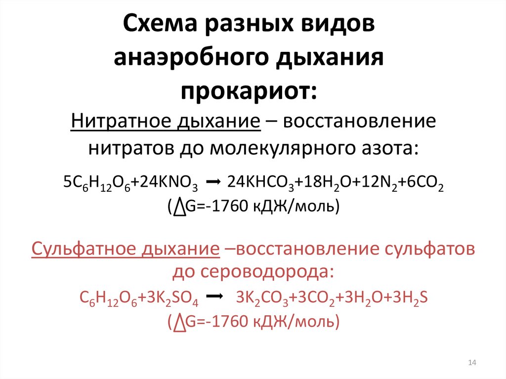 Аэробное дыхание это. Анаэробное дыхание:Сульфатное нитратное. Нитратное и Сульфатное дыхание микроорганизмов. Типы анаэробного дыхания у прокариот. Анаэробное дыхание схема.