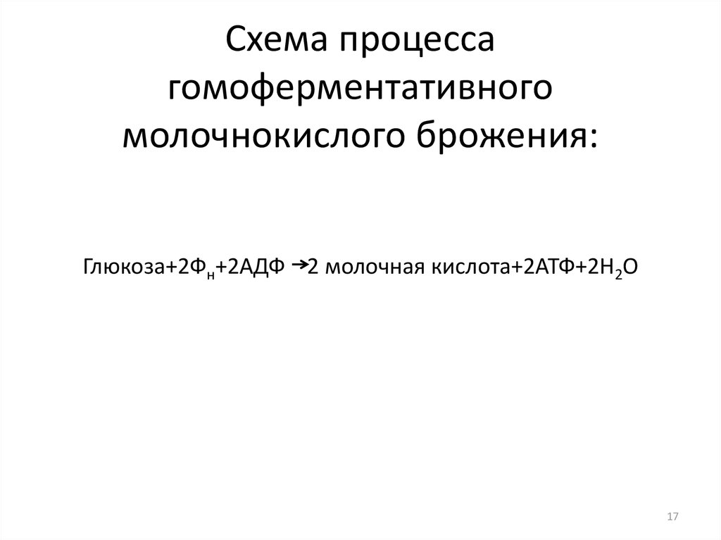 Схема гомоферментативного молочнокислого брожения. Процесс гомоферментативного молочнокислого брожения. Молочное кислое брожение Глюкозы. Молочнокислое брожение схема.