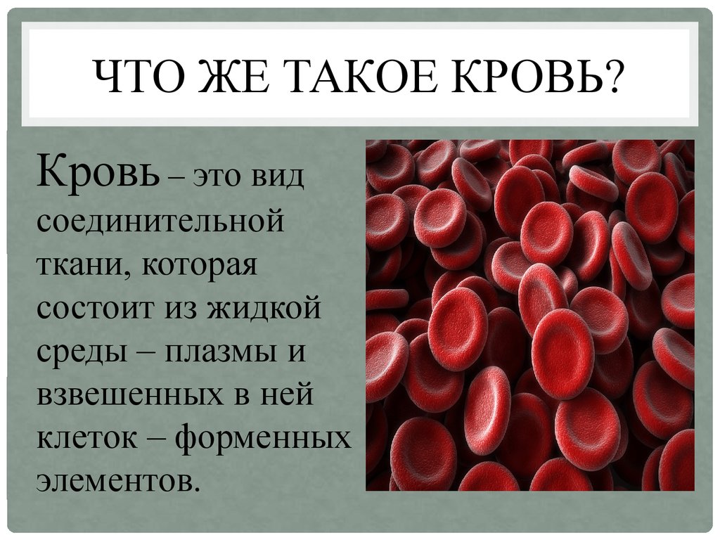 Слово чушпана кровь. Кровь человека презентация. Кровь доклад. Клетки крови.
