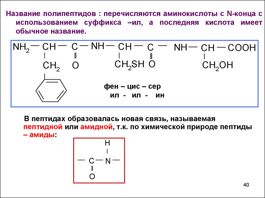 Поликонденсация полипептидов. Как называть полипептид. Аминоуксусная кислота полипептид. Полипептиды с азотной кислотой. Аминокислота и серная кислота.