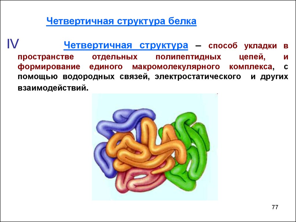 Особенности внутреннего строения белки. Четвертичная структура белка это структура. Четвертичная структура белка актина. Четвертичная структура белка Тип структуры. Четвертичная структура белка гемоглобина.