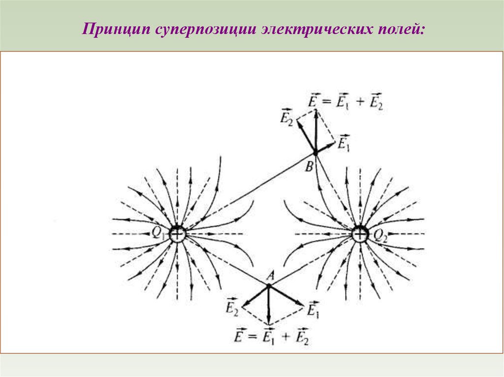 Электрическое поле q. Силовые линии зарядов q и 2q. Силовые линии +q +2q. Силовые линии электрического поля q 2q. Рисунок на линий напряженности электрического поля точечного заряда.