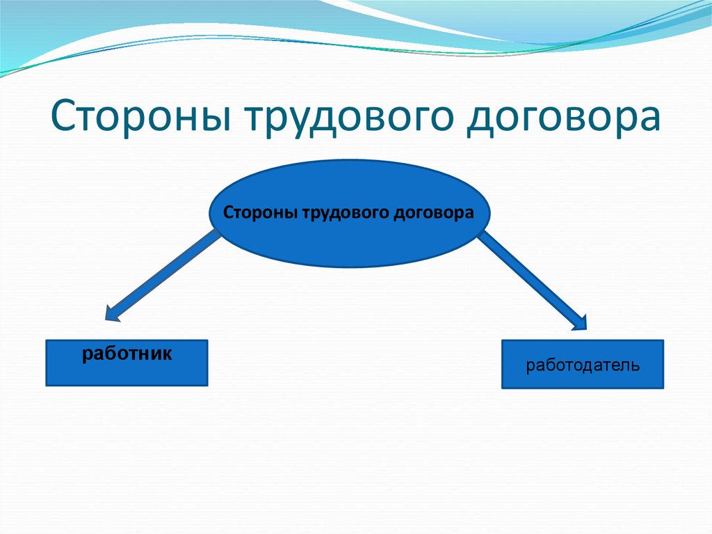 2 стороны трудового договора работник и работодатель. Стороны трудового договора. Неравенство сторон трудового договора.