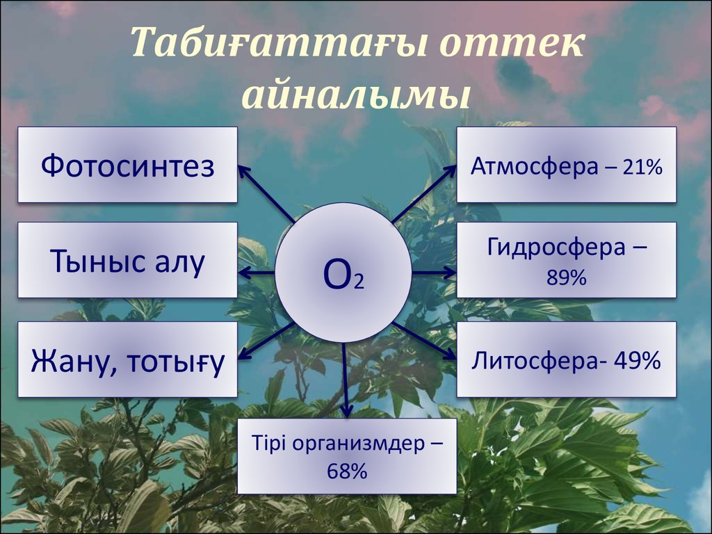 Фотосинтез атмосфера. Оттегі презентация. Биосферадагы заттардын айлануусу презентация.