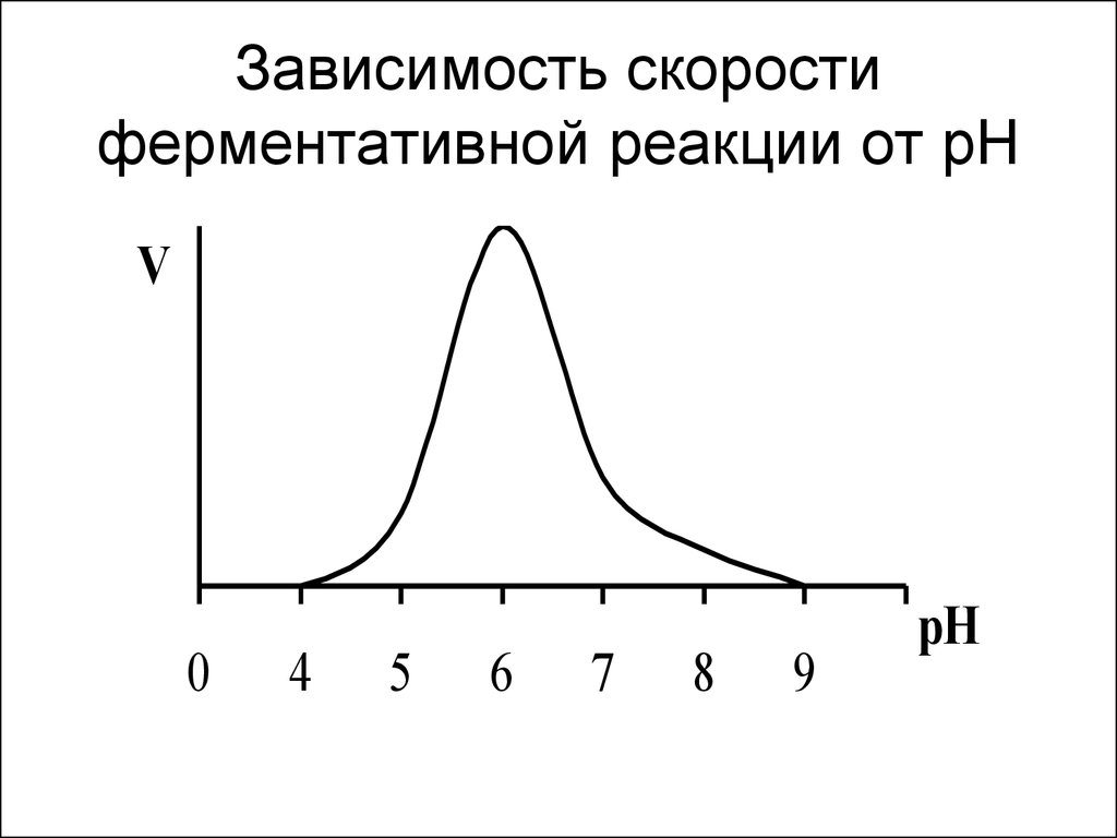 Активность зависит от. Зависимость скорости ферментативной реакции от РН. График зависимости скорости ферментативной реакции от PH среды. Зависимость скорости ферментативной реакции от РН среды. Зависимость скорости ферментативной реакции от PH.