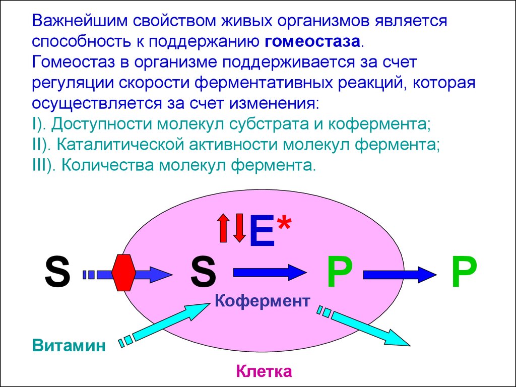 Системы играют важную роль. Гомеостаз биохимия. Способность организма к гомеостазу. Роль гомеостаза в организме. Гомеостаз поддерживается за счет.