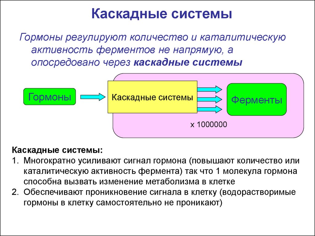 Действует через изменение. Каскадный механизм усиления сигнала. Гормональная регуляция активности ферментов. Способы регуляции активности ферментов биохимия. Каскадные системы с ферментами.