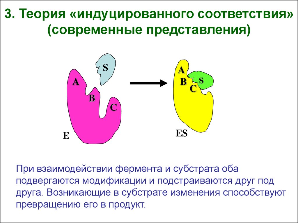 Индуцировать это. Теория индуцированного соответствия фермента. Теория фермент субстратного взаимодействия. Индуцированного соответствия фермента и субстрата. Модель индуцированного соответствия ферменты.