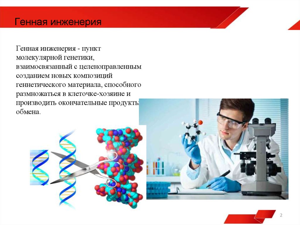 Генная Инженерия Реферат По Биологии