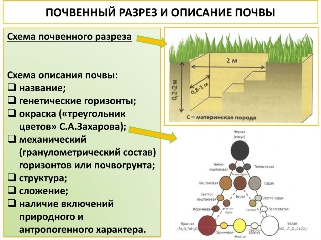 Методы использования почвы. Схема заложения почвенного разреза. Почвенное исследование почвенный разрез. Изучение почвы в разрезе. Описание почвенного разреза.