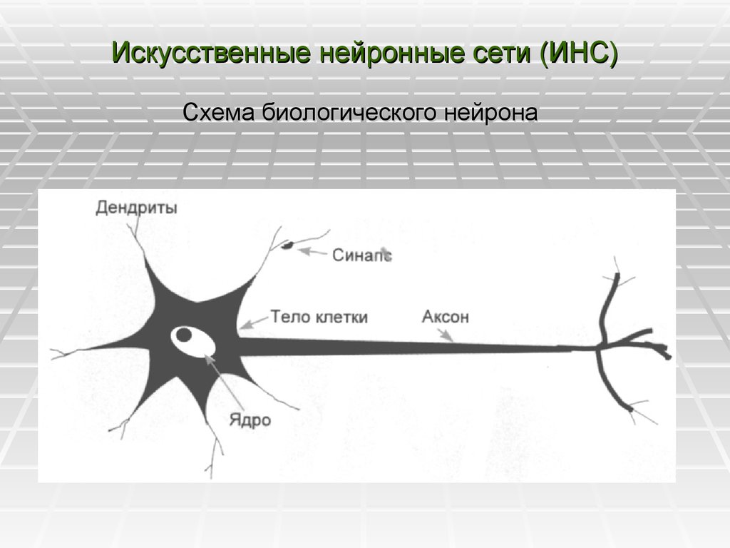 Искусственные нейронные сети (ИНС)