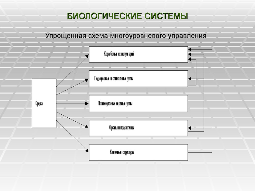 Примеры видов систем