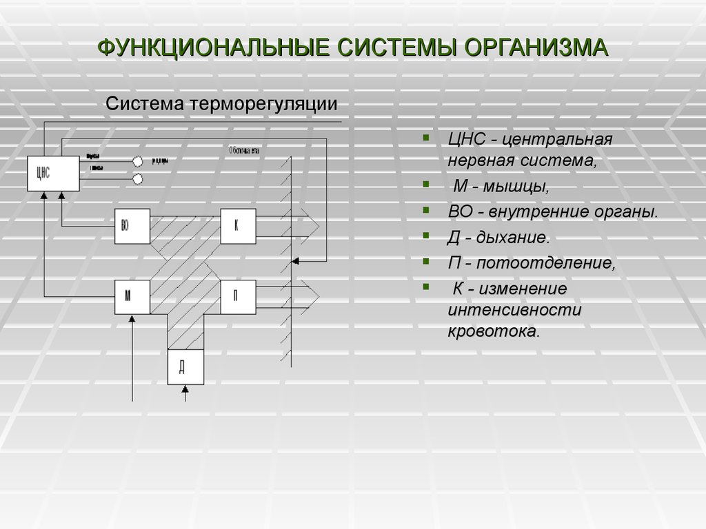 Укажите функциональное. Функциональные системы организма. Основные функциональные системы организма человека. Функциональная система органов. Функциональные системы организма примеры.