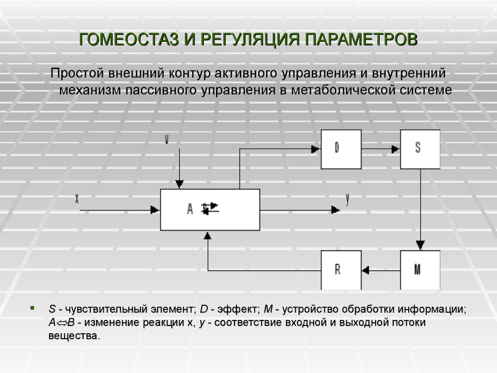 Внешний контур. Регуляция гомеостаза. Уровни поддержания гомеостаза. Регуляция параметров гомеостаза.. Механизмы регуляции гомеостаза.