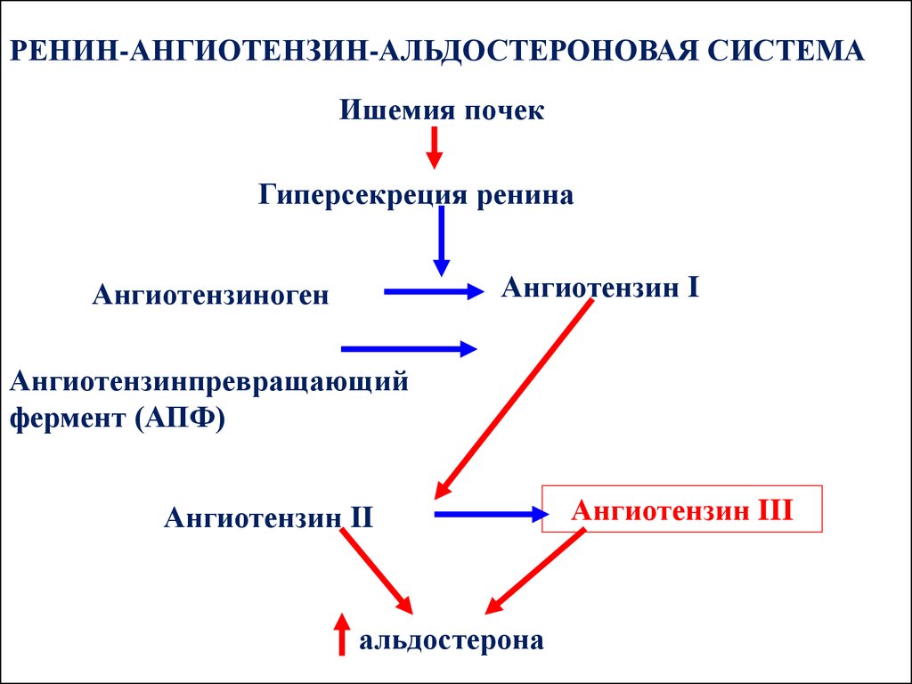 Водно электролитный обмен