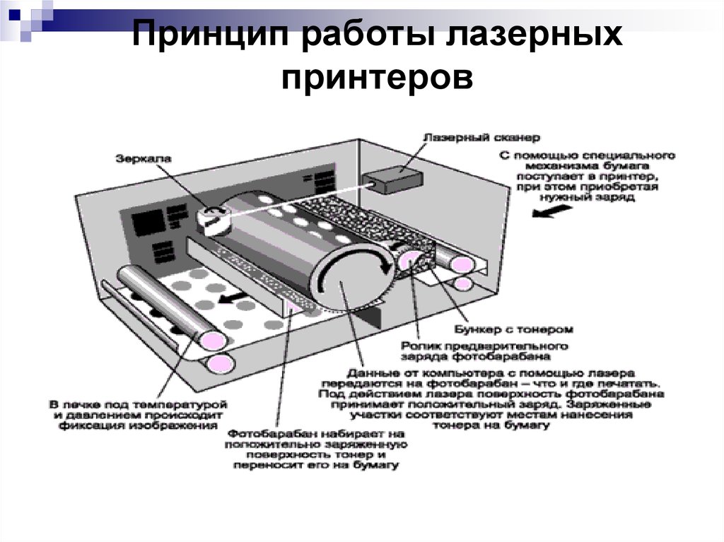 Принцип печати лазерного принтера. Лазерный принтер устройство принцип работы. Принцип работы лазерного принтера. Из чего состоит МФУ лазерный. Принцип работы лазерного принтера схема.